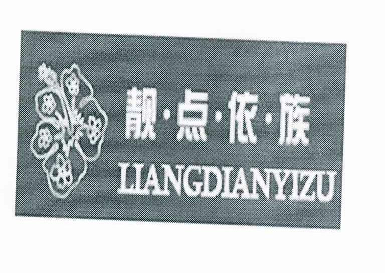 靓点依族