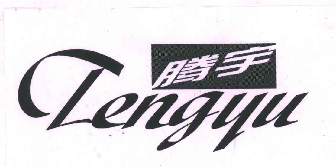 腾宇