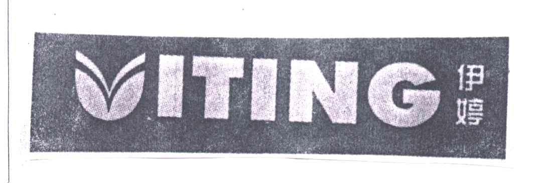 伊婷ITING