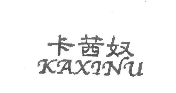 卡茜奴