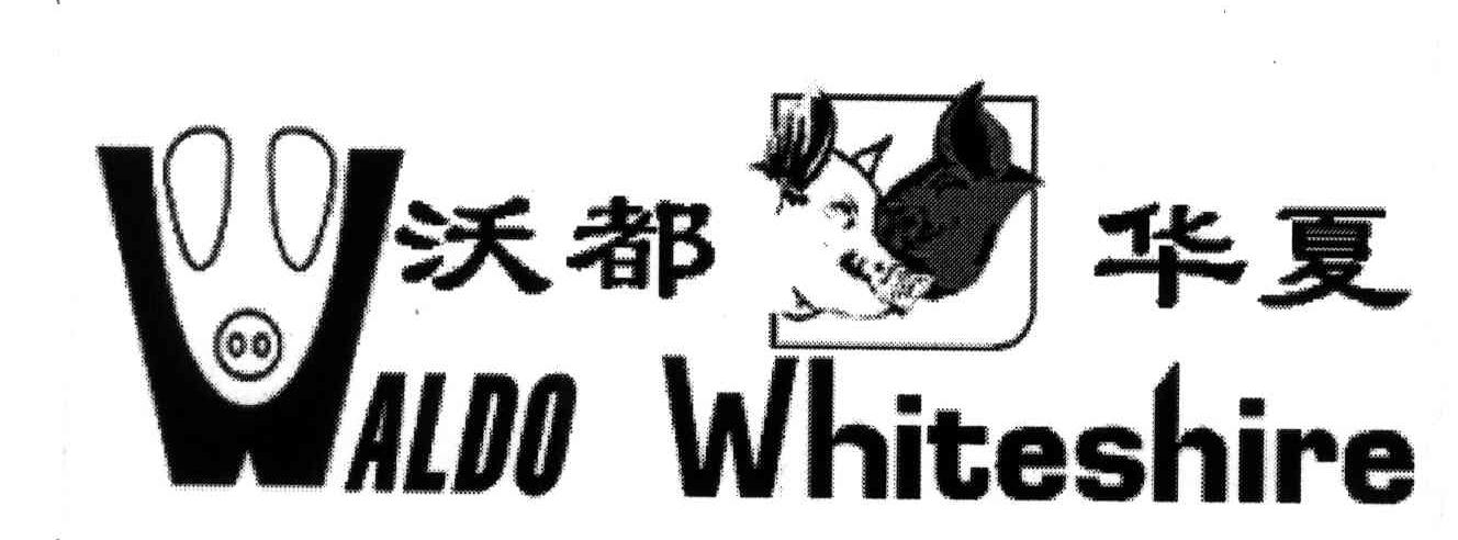 沃都华夏;WALDO WHITESHIRE;W