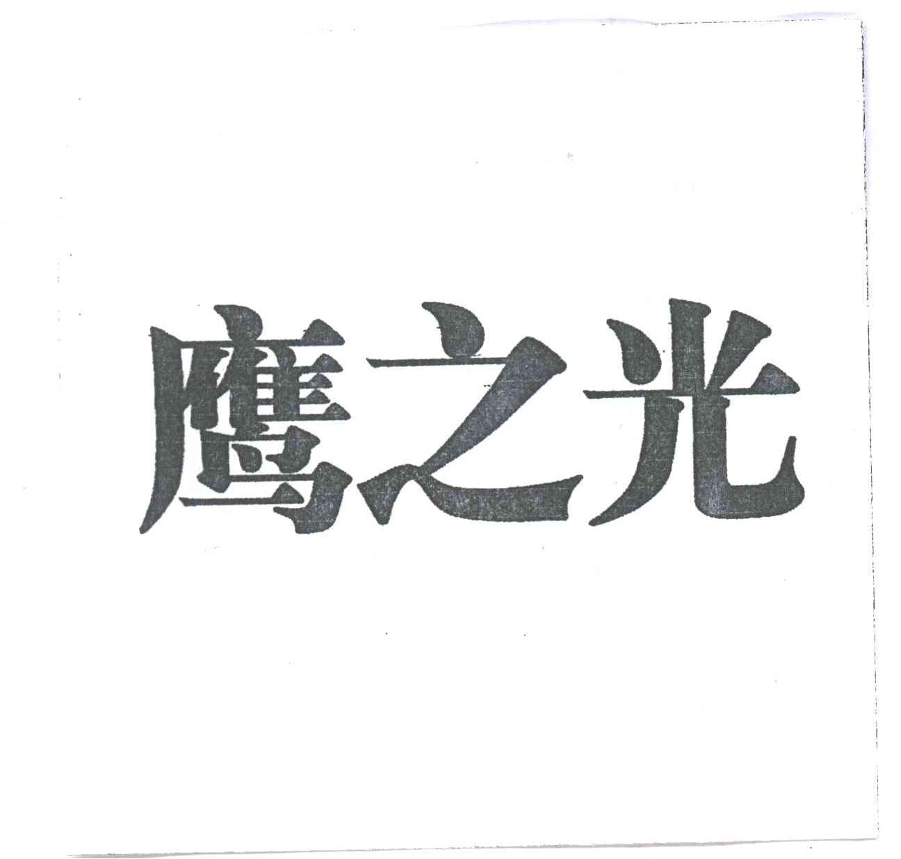 鹰之光