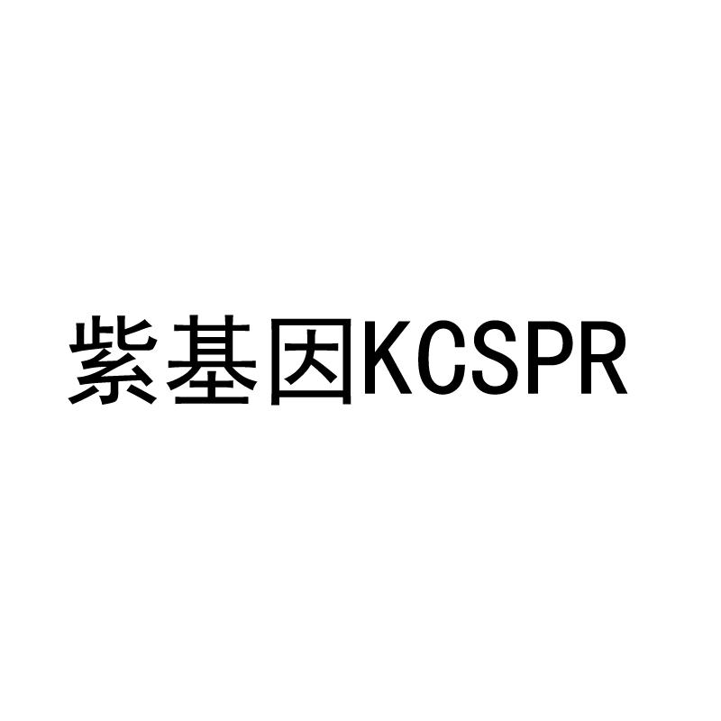 紫基因 KCSPR