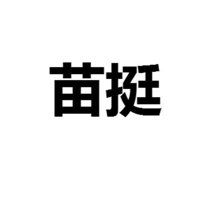 苗挺