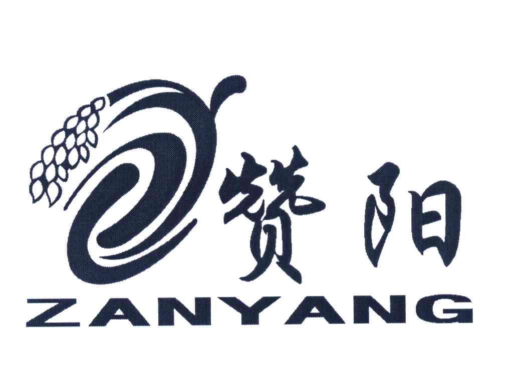 赞阳