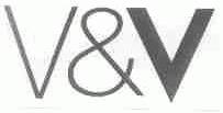 V&V