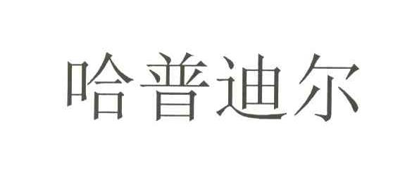 哈普迪尔