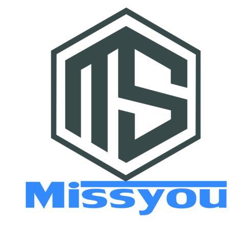 MS MISSYOU