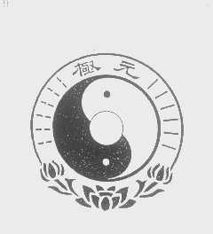 元极