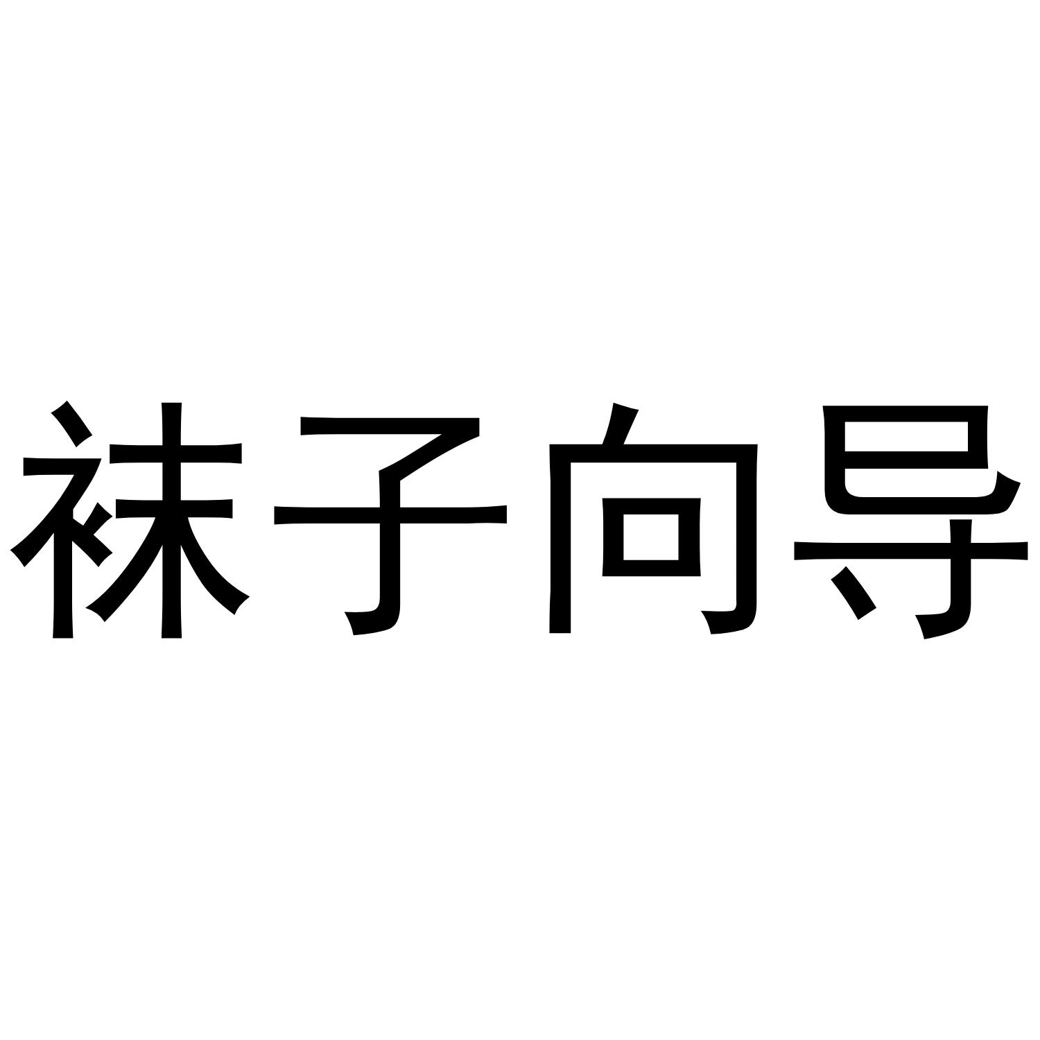 袜子向导