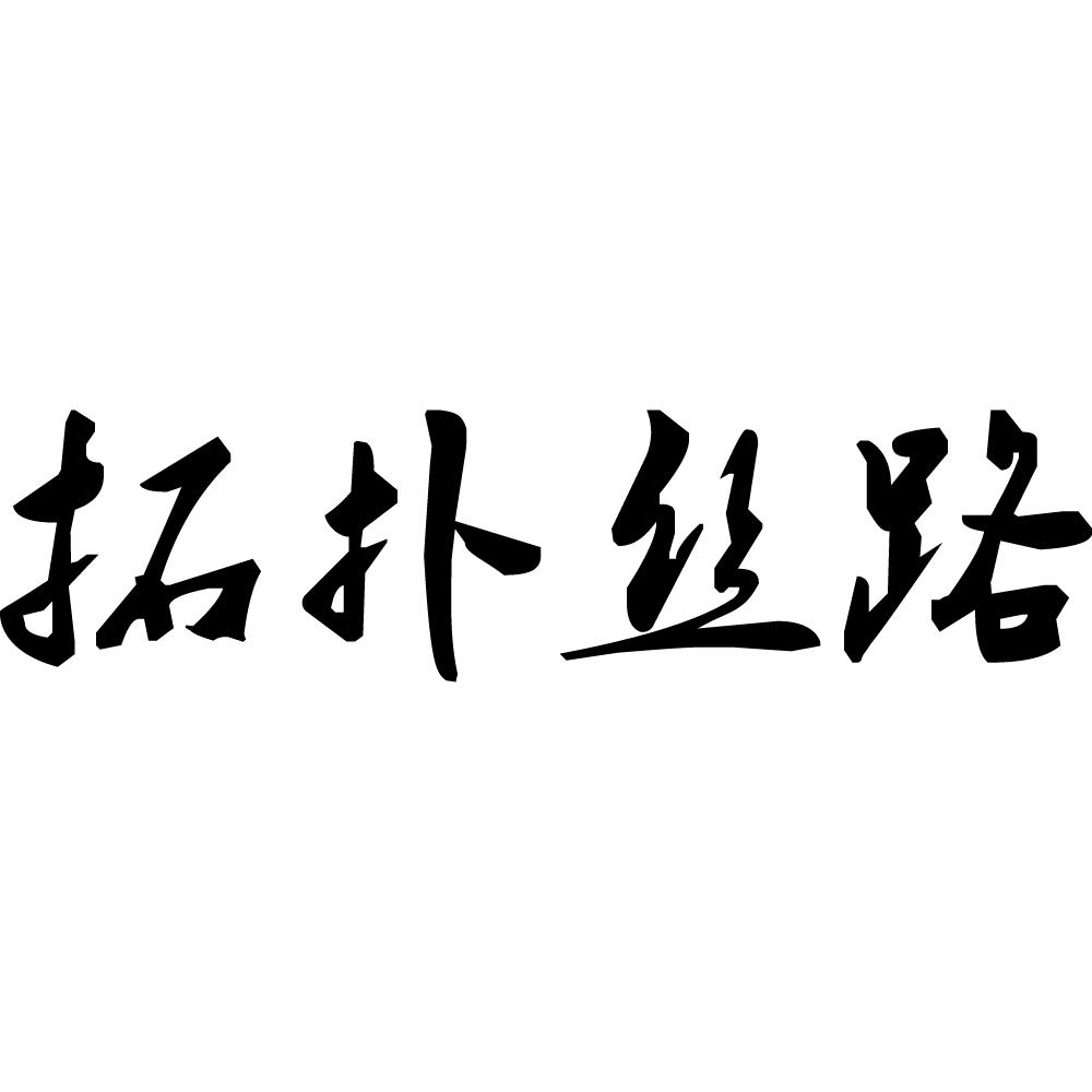 拓扑丝路