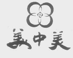 美中美