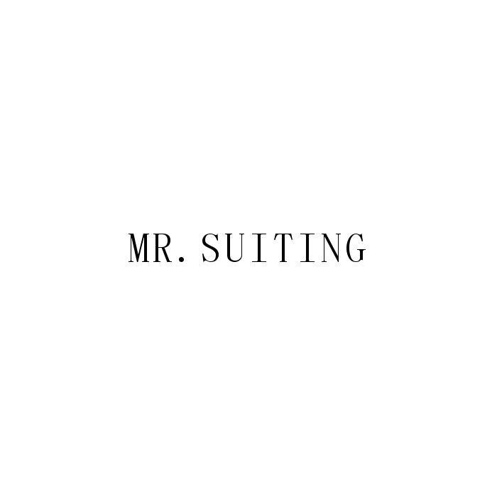 MR.SUITING