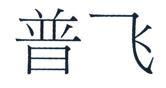 普飞