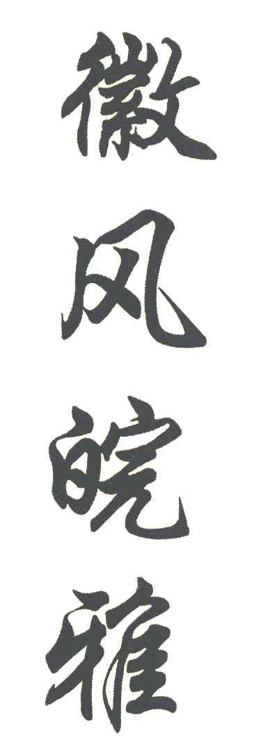 徽风皖雅