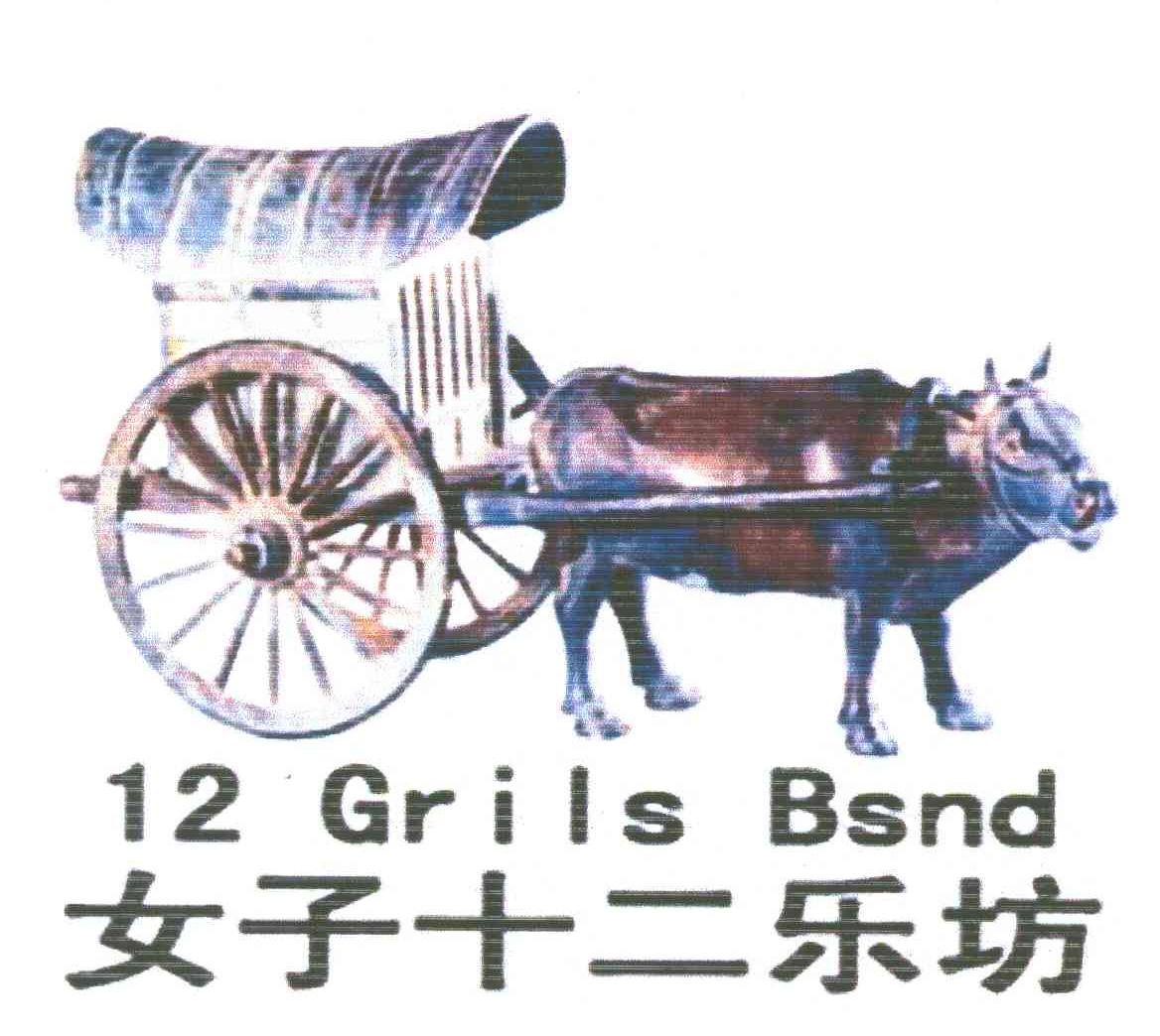 女子十二乐坊;12;GRILS BSND