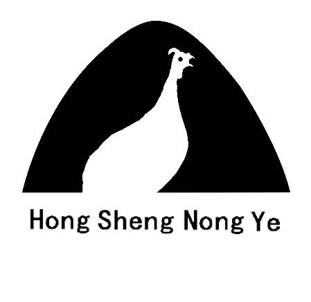 HONG SHENG NONG YE