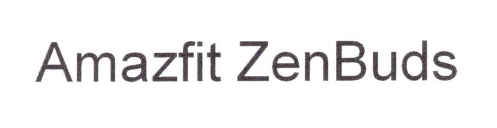 AMAZFIT ZENBUDS
