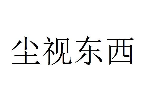尘视东西