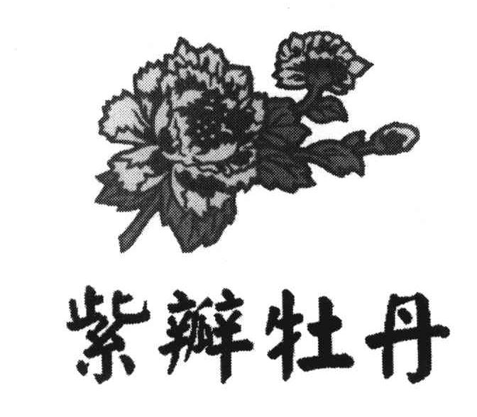 紫瓣牡丹
