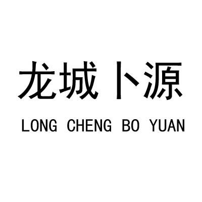 龙城卜源