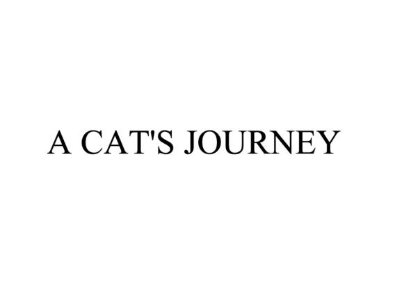 A CAT'S JOURNEY