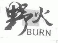 野火;BURN