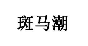 斑马潮