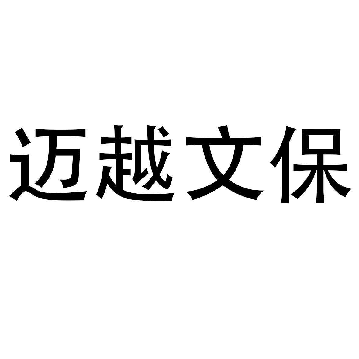 迈越文保