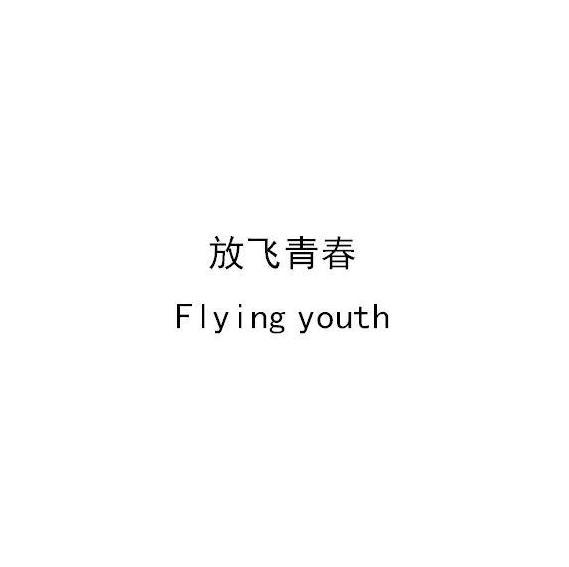 放飞青春 FLYING YOUTH