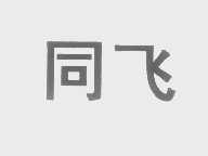 同飞