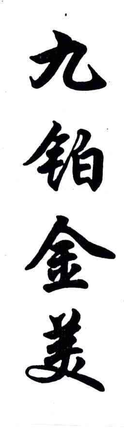 九铂金美
