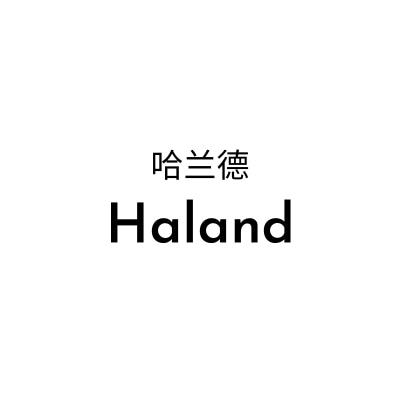 哈兰德 HALAND