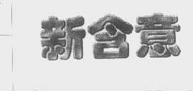 新含意