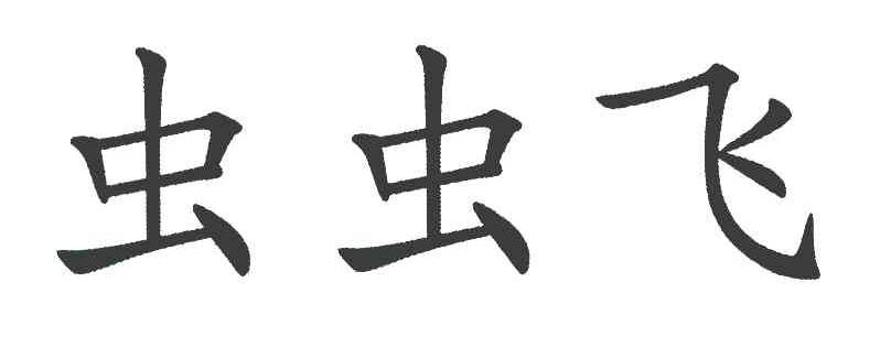 虫虫飞