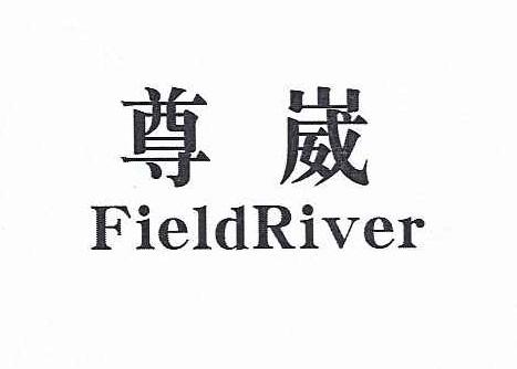 尊崴 FIELDRIVER