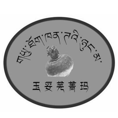 玉妥芜菁玛