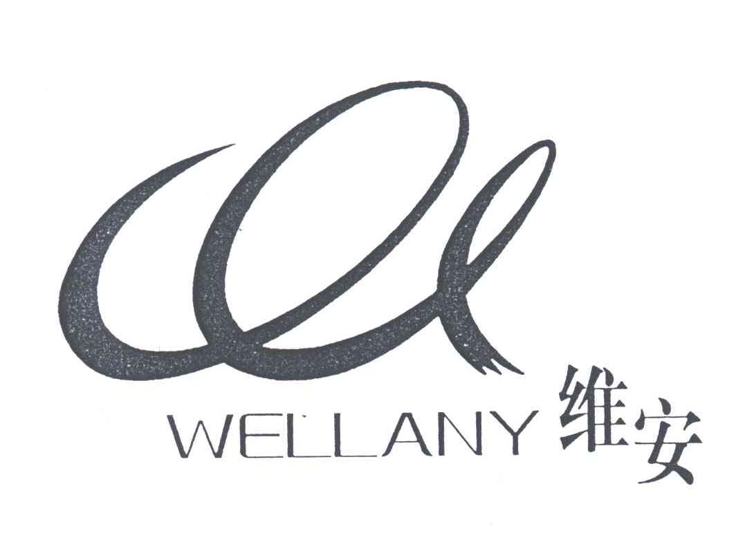 维安WELLANY