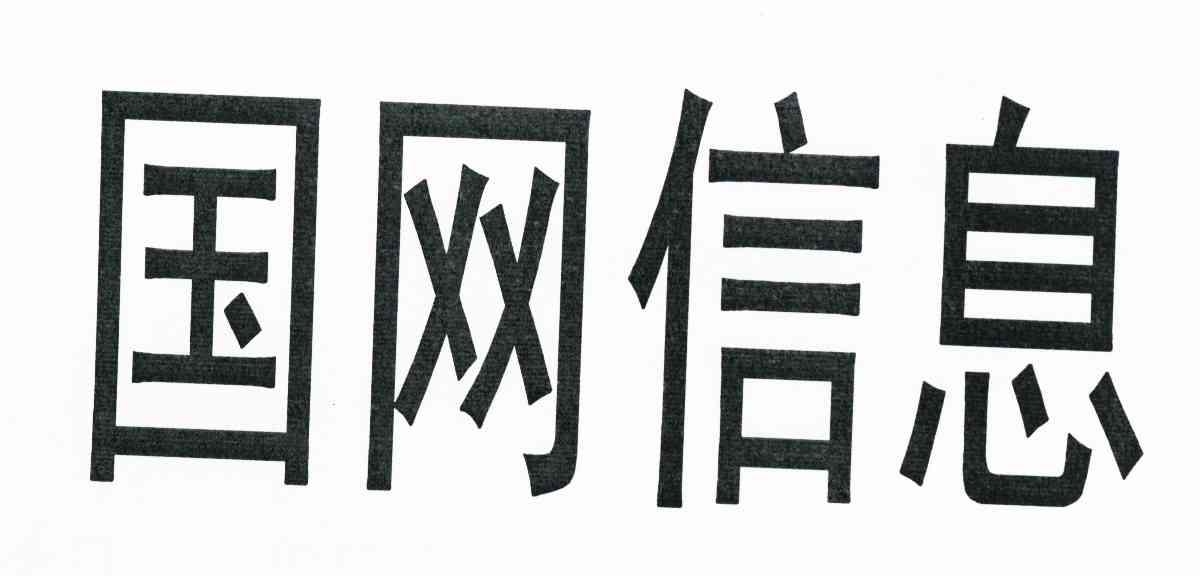 国网信息