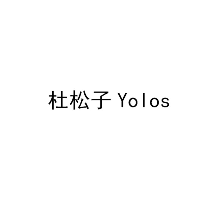 杜松子 YOLOS