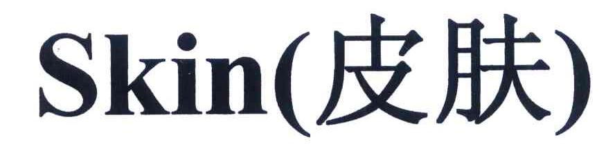 SKIN(皮肤)