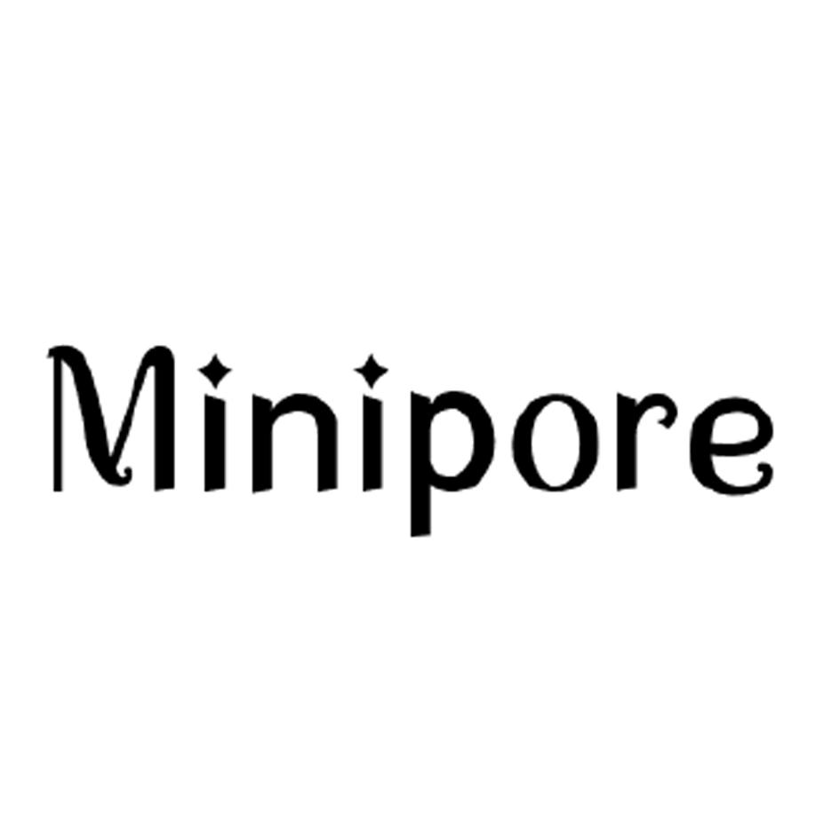 MINIPORE