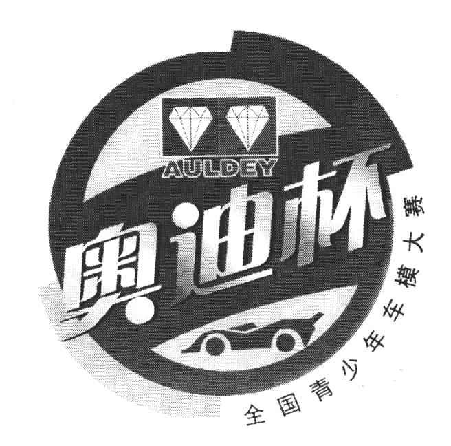奥迪杯全国青少年车模大赛;AULDEY