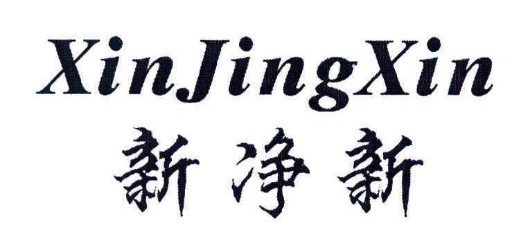 新净新