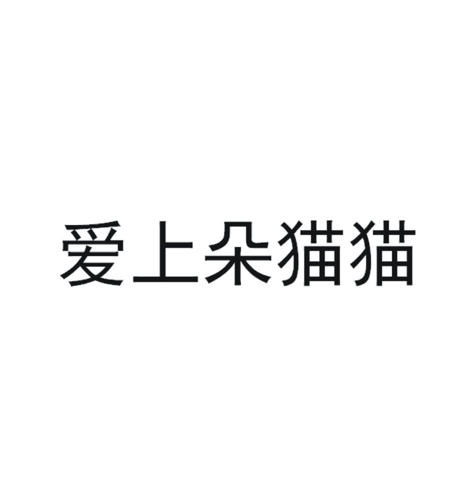 爱上朵猫猫