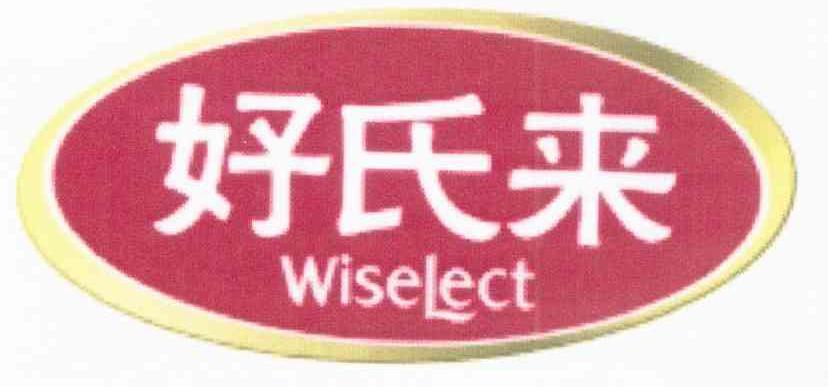 好氏来 WISELECT
