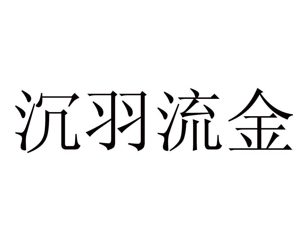 沉羽流金