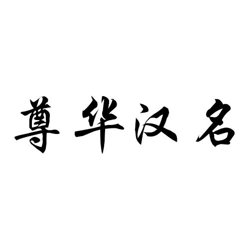 尊华汉名