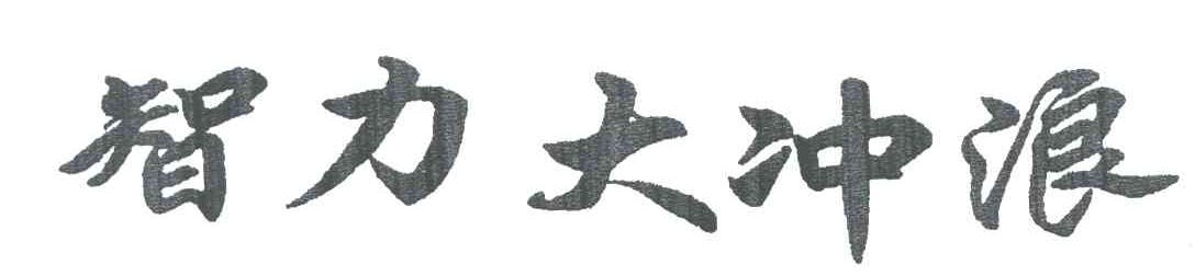 智力大冲浪
