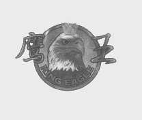 鹰王   KING EAGLE